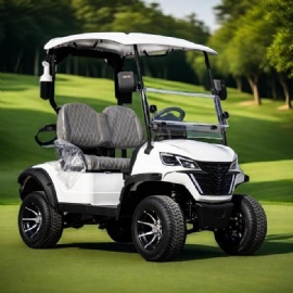 Golf Cart 2 Seater Low Speed Vehicle Golf Cart Thunder Series GT20F