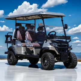 Golf Cart 6 Seater Low Speed Vehicle Golf Cart Thunder Series GT42R